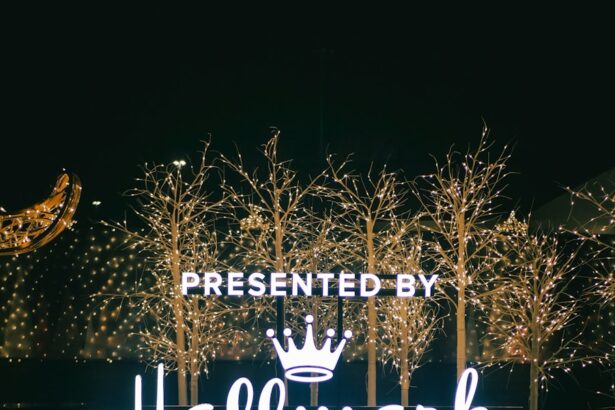 Hallmark's Loveuary lineup adds new films