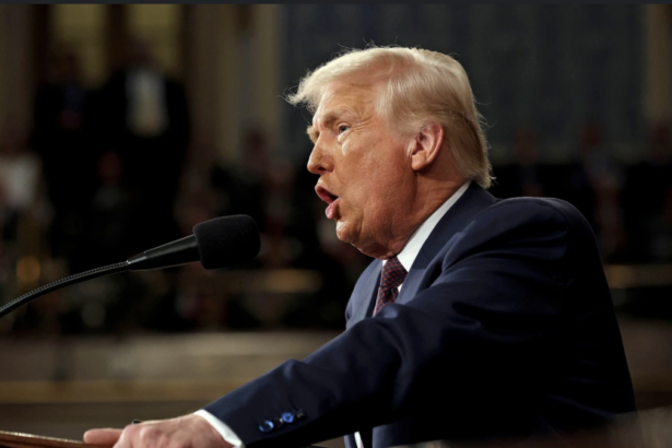 Trump's claim on transgender mice funding sparks debate
