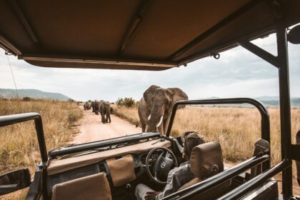 Sydney Sweeney's all-girl safari adventure