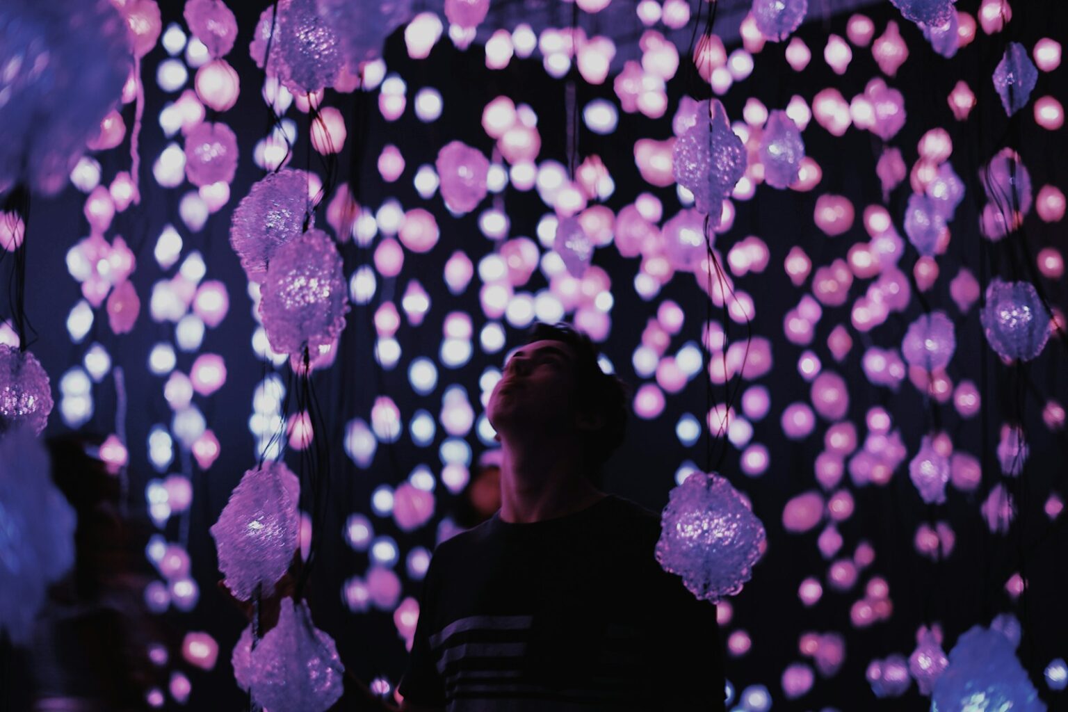 Exhibitions and art from around the world at EXPO Chicago