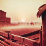 Last Rodeo