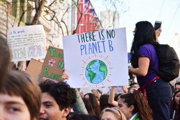 Venice Biennale showcases global climate initiatives