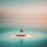 Lonely Reflection
