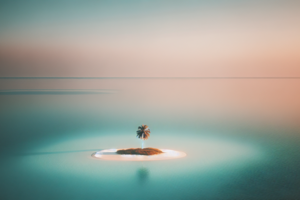 Lonely Reflection