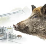 boars head safety measures