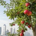 apple hits four trillion market value