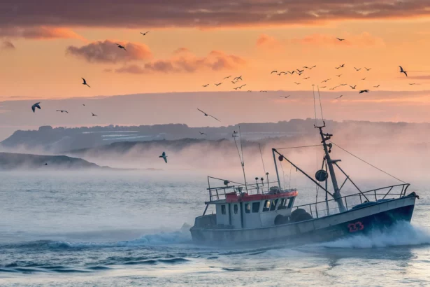 noaa job loss fisheries worry