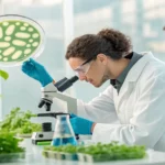 engineered e coli targets greener plastics