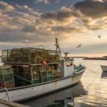 maine lobster catch declines annually