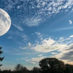 moon occults venus daytime sky