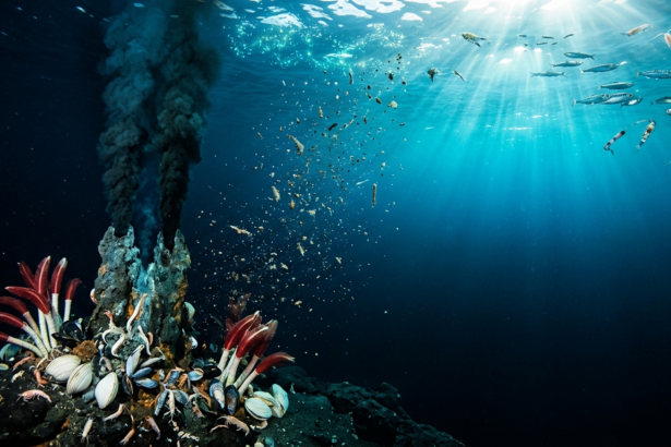 deep sea vents sunlight discovery