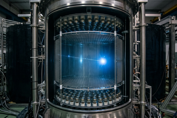 xenont detects rare neutrino glow