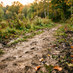 faint tracks hint quick walking